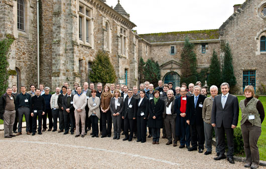 Arise Team